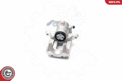 Brake Caliper 23SKV343