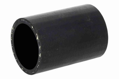 FURTUN EAR SUPRAALIMENTARE