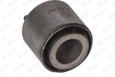 BUCSA ARBORE DE DIRECTIE BIRTH 4741 3