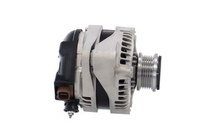 GENERATOR / ALTERNATOR REMANTE 011003000061R 13