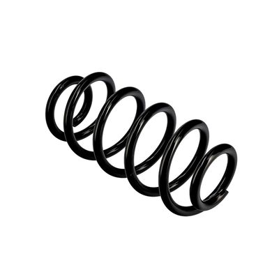 ARC SPIRAL EIBACH R10135 22