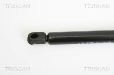 Vorschau Gasfeder, Koffer-/Laderaum Ansicht 2