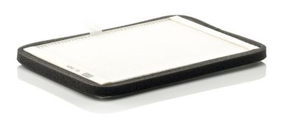 Filter, Innenraumluft