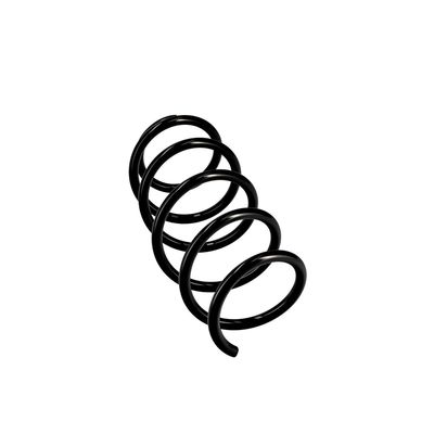 ARC SPIRAL EIBACH R10111 24