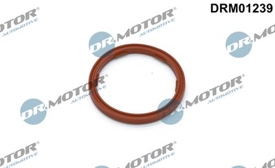 Dr.Motor Automotive DRM01239 Пробка поддона  для BMW X4 (Бмв X4)