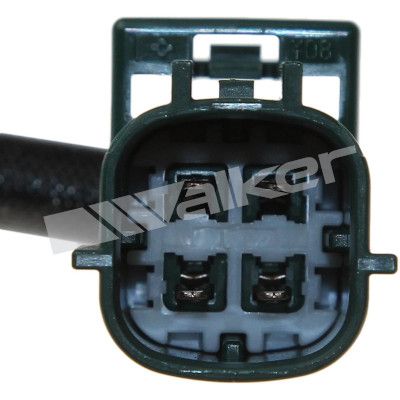 LAMBDASONDE WALKER PRODUCTS 250241171 3