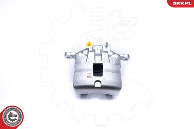 Brake Caliper 45SKV171