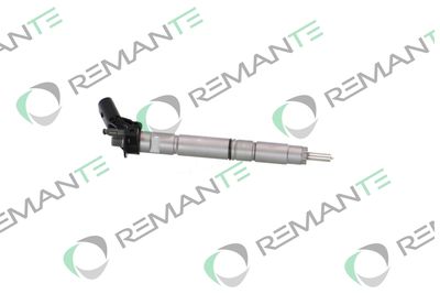 INJECTOR REMANTE 002003002294R 3