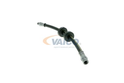 FURTUN FRANA VAICO V101043 19