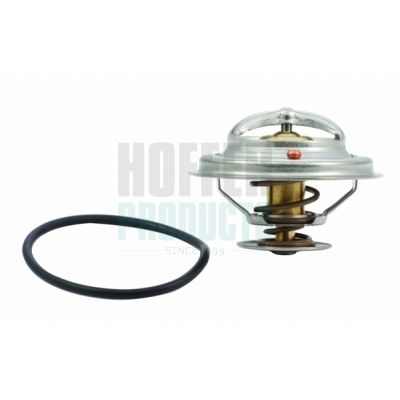 TERMOSTAT LICHID RACIRE