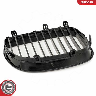 GRILA RADIATOR ESEN SKV 66SKV165 7