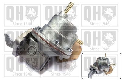 Топливный насос QUINTON HAZELL QFP82 для DAF 55