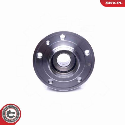 SET RULMENT ROATA ESEN SKV 29SKV198 2