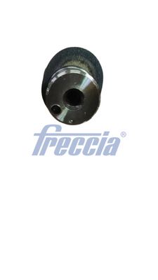разпределителен вал FRECCIA CM05-2446