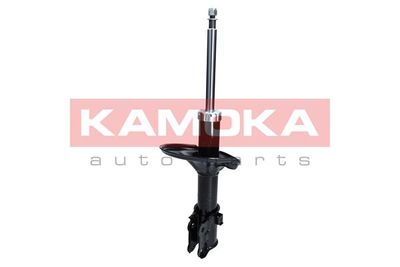 Shock Absorber 2000208