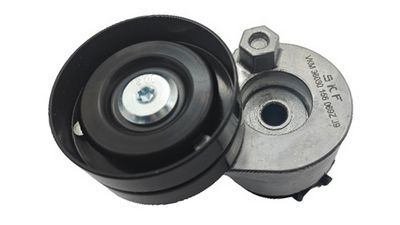 VKM 36030