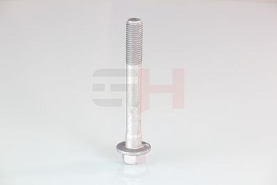 SURUB CAPAT DE AX GH GH391580 54