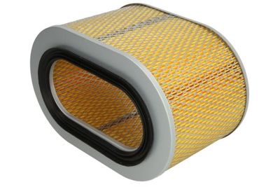 Air Filter B25008PR