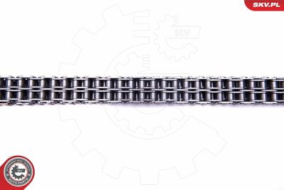 Комплект цели привода распредвала 21SKV170