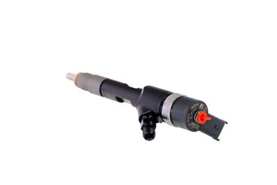 INJECTOR REMANTE 002003001168R 19