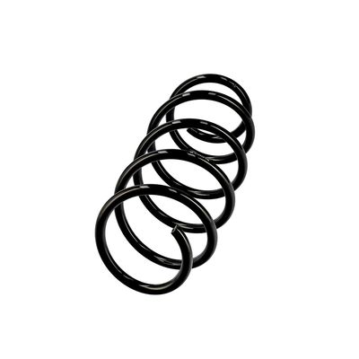 ARC SPIRAL EIBACH R10344 2
