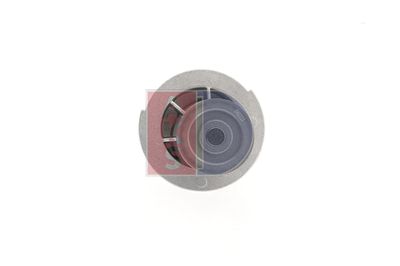 WASSERPUMPE MOTORKüHLUNG AKS DASIS 570479N 16