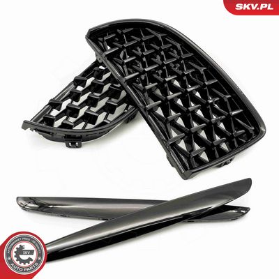 GRILA RADIATOR ESEN SKV 66SKV093 4