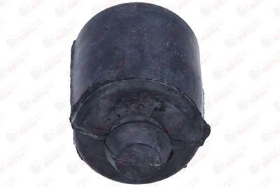 BURDUF CAUCIUC SUPORT MOTOR BIRTH 52660 1