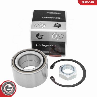 SET RULMENT ROATA ESEN SKV 85SKV097