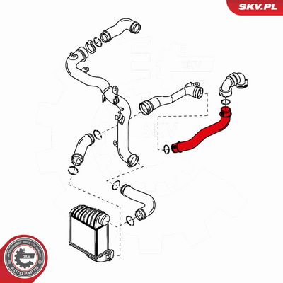 FURTUN EAR SUPRAALIMENTARE ESEN SKV 24SKV039 2