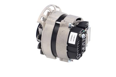 GENERATOR / ALTERNATOR REMANTE 011003000073R 17