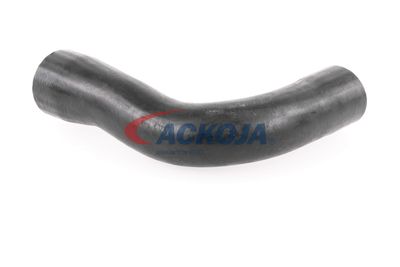 FURTUN EAR SUPRAALIMENTARE ACKOJA A389600 36