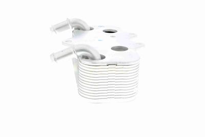 RADIATOR ULEI ULEI MOTOR VEMO V40602096 3