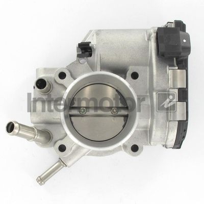 Throttle Body Intermotor 68406