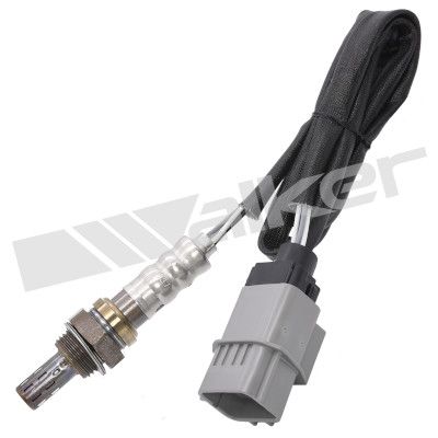 Лямбда-зонд WALKER PRODUCTS 250-24284 для NISSAN MAXIMA