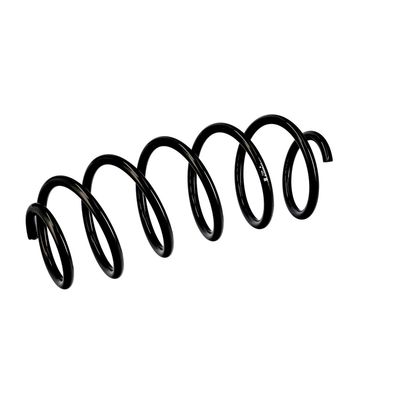 ARC SPIRAL EIBACH R10255 17