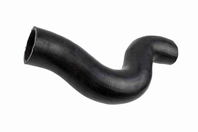 FURTUN EAR SUPRAALIMENTARE