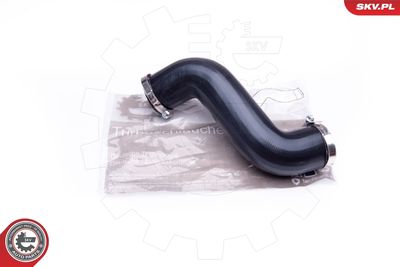 FURTUN EAR SUPRAALIMENTARE