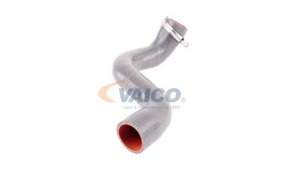 FURTUN EAR SUPRAALIMENTARE VAICO V460823 49