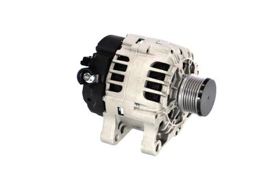GENERATOR / ALTERNATOR REMANTE 011003000536R 45