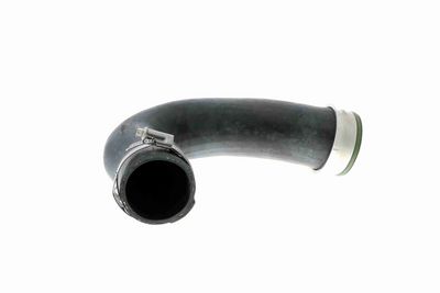 FURTUN EAR SUPRAALIMENTARE