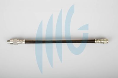 Тормозной шланг RICAMBIFLEX GM 02440584 для RENAULT 25