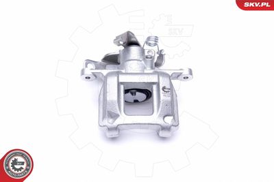 Brake Caliper 50SKV033