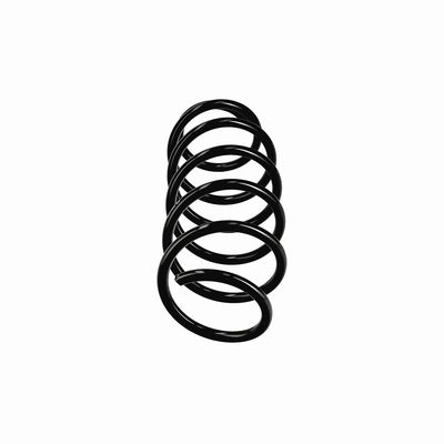ARC SPIRAL EIBACH R11019 1