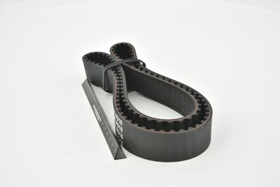 CUREA DE DISTRIBUTIE FEBEST 041404G18 12