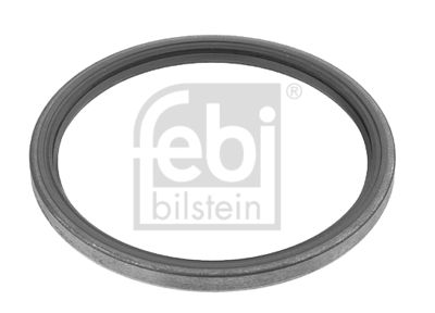 Shaft Seal, wheel hub 10186