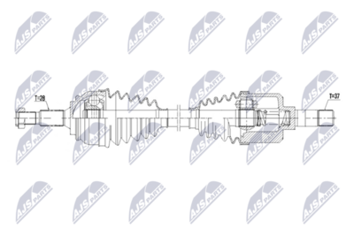 NPW-PE-129