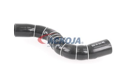 FURTUN EAR SUPRAALIMENTARE ACKOJA A389602 39