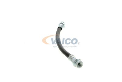 FURTUN FRANA VAICO V102309 37