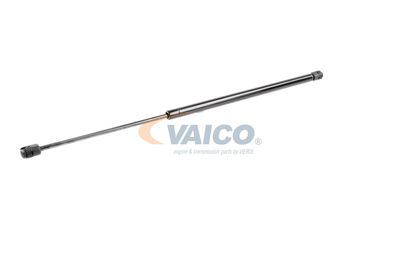 GASFEDER KOFFER-/LADERAUM VAICO V249654 33